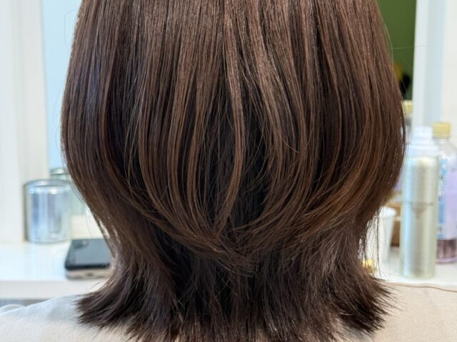 毛量を調整して軽やかに仕上げたくびれレイヤーボブの後ろ姿